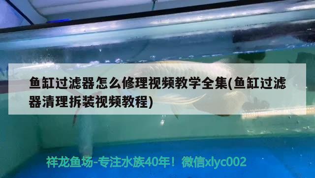 鱼缸过滤器怎么修理视频教学全集(鱼缸过滤器清理拆装视频教程)