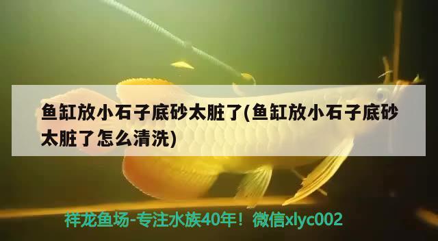 鱼缸放小石子底砂太脏了(鱼缸放小石子底砂太脏了怎么清洗) 观赏鱼百科