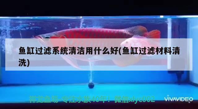 鱼缸过滤系统清洁用什么好(鱼缸过滤材料清洗) 水族杂谈