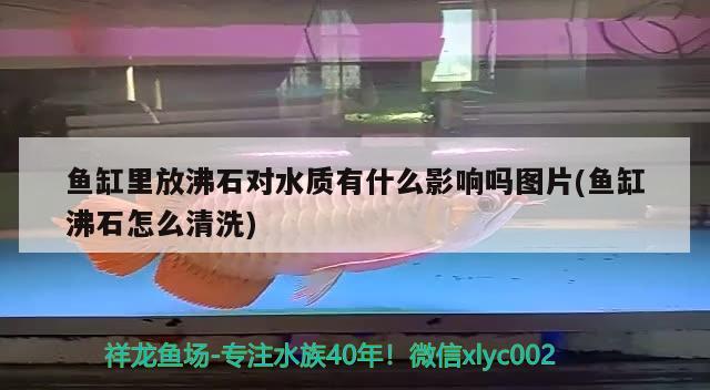 鱼缸里放沸石对水质有什么影响吗图片(鱼缸沸石怎么清洗)