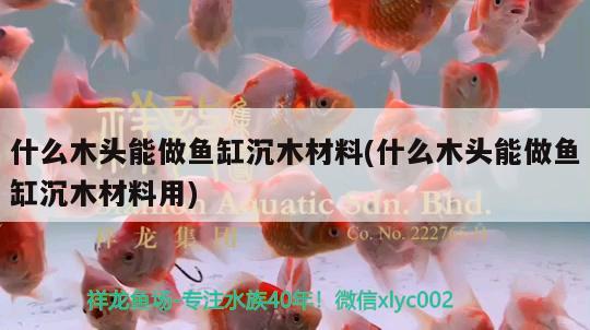 什么木头能做鱼缸沉木材料(什么木头能做鱼缸沉木材料用) 大湖红龙鱼