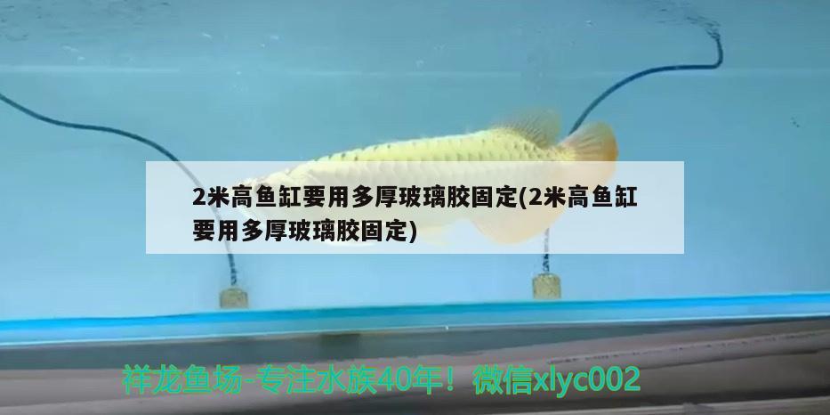 2米高鱼缸要用多厚玻璃胶固定(2米高鱼缸要用多厚玻璃胶固定) 肥料 第2张