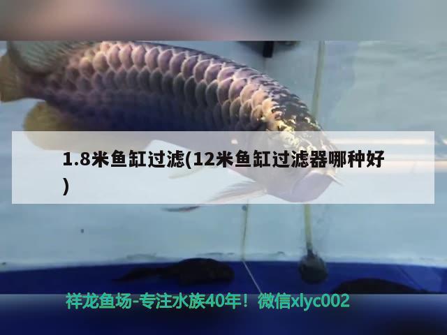 1.8米鱼缸过滤(12米鱼缸过滤器哪种好) 赤焰中国虎鱼