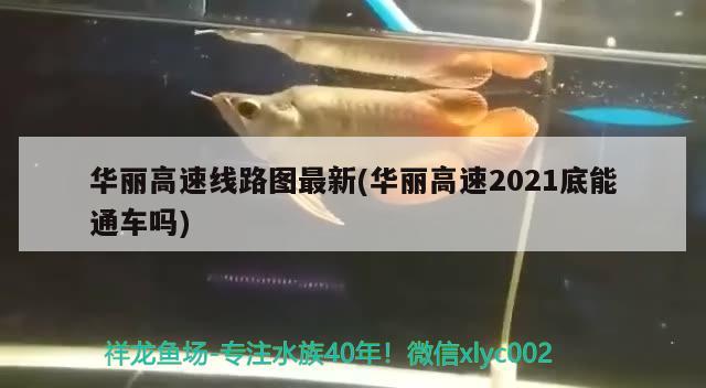 华丽高速线路图最新(华丽高速2021底能通车吗)