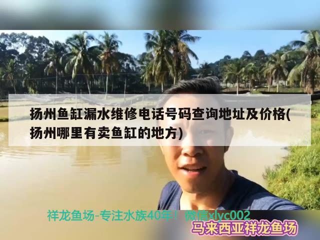 扬州鱼缸漏水维修电话号码查询地址及价格(扬州哪里有卖鱼缸的地方)