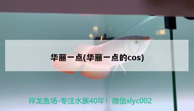 华丽一点(华丽一点的cos) 观赏鱼