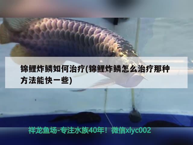 锦鲤炸鳞如何治疗(锦鲤炸鳞怎么治疗那种方法能快一些)