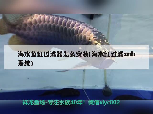 海水鱼缸过滤器怎么安装(海水缸过滤znb系统) 海水鱼