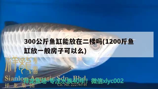 300公斤鱼缸能放在二楼吗(1200斤鱼缸放一般房子可以么)