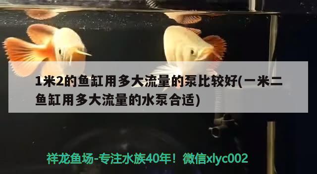 1米2的鱼缸用多大流量的泵比较好(一米二鱼缸用多大流量的水泵合适) 鱼粮鱼药