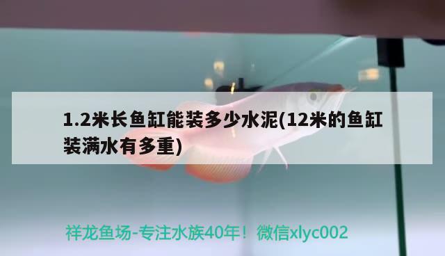 1.2米长鱼缸能装多少水泥(12米的鱼缸装满水有多重)