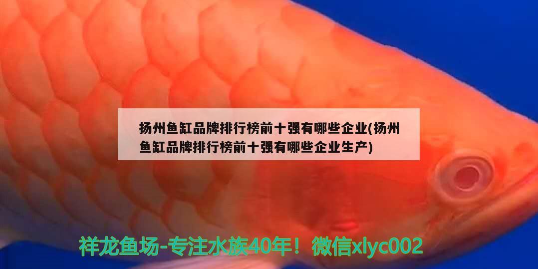 扬州鱼缸品牌排行榜前十强有哪些企业(扬州鱼缸品牌排行榜前十强有哪些企业生产) 黑白双星