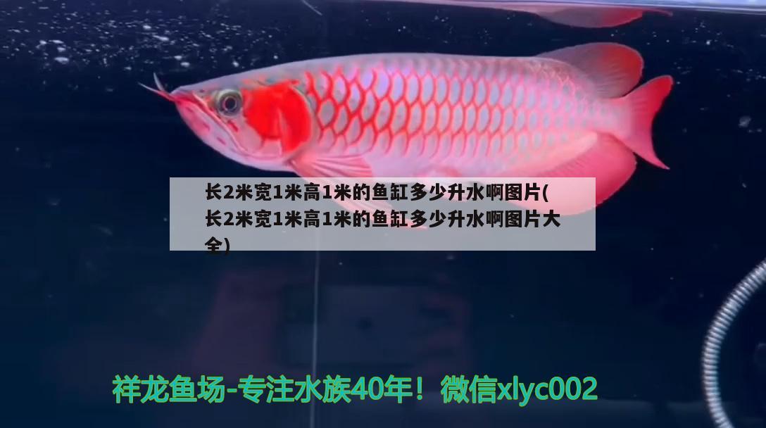 长2米宽1米高1米的鱼缸多少升水啊图片(长2米宽1米高1米的鱼缸多少升水啊图片大全)