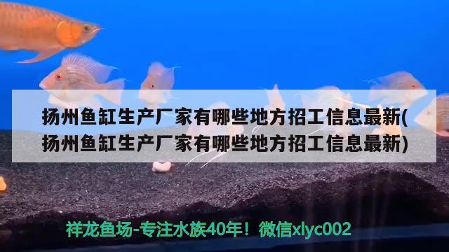 扬州鱼缸生产厂家有哪些地方招工信息最新(扬州鱼缸生产厂家有哪些地方招工信息最新)