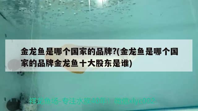 金龙鱼是哪个国家的品牌?(金龙鱼是哪个国家的品牌金龙鱼十大股东是谁) 观赏鱼