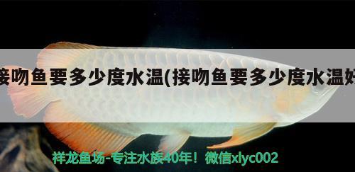 接吻鱼要多少度水温(接吻鱼要多少度水温好) 观赏鱼