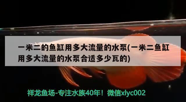 一米二的鱼缸用多大流量的水泵(一米二鱼缸用多大流量的水泵合适多少瓦的)