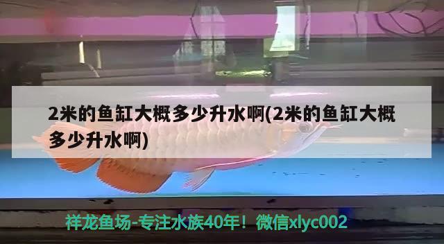 2米的鱼缸大概多少升水啊(2米的鱼缸大概多少升水啊) 虎鱼百科 第2张