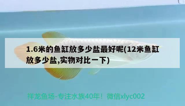 1.6米的鱼缸放多少盐最好呢(12米鱼缸放多少盐,实物对比一下) 和尚鱼