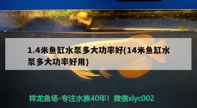 1.4米鱼缸水泵多大功率好(14米鱼缸水泵多大功率好用) 鱼缸水泵