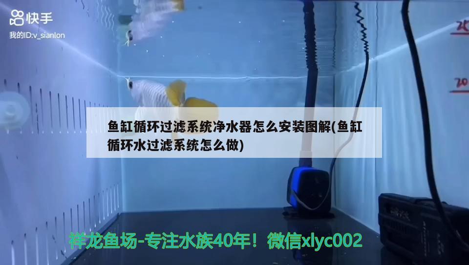 鱼缸循环过滤系统净水器怎么安装图解(鱼缸循环水过滤系统怎么做)