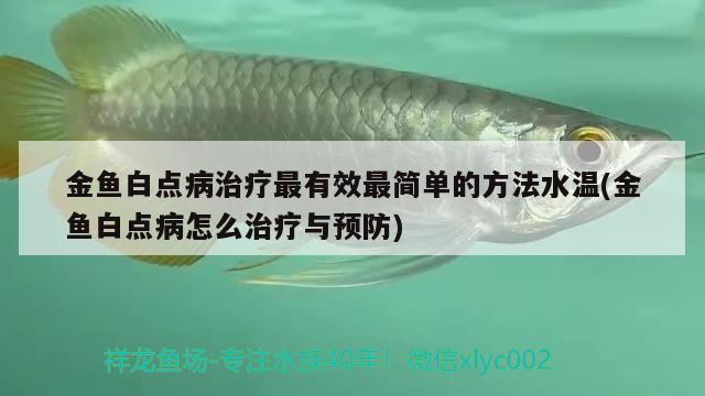 金鱼白点病治疗最有效最简单的方法水温(金鱼白点病怎么治疗与预防)