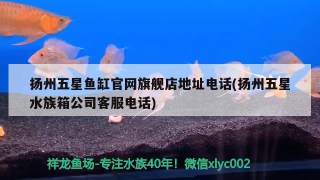 扬州五星鱼缸官网旗舰店地址电话(扬州五星水族箱公司客服电话)