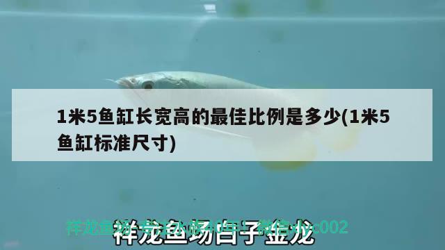 1米5鱼缸长宽高的最佳比例是多少(1米5鱼缸标准尺寸)