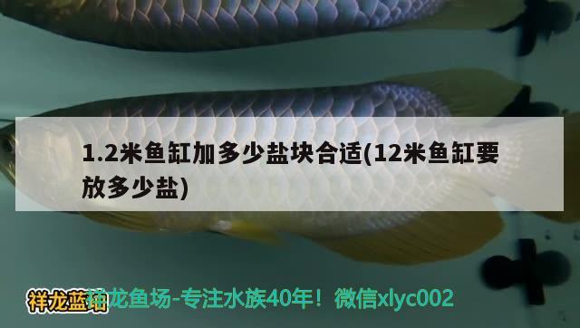 1.2米鱼缸加多少盐块合适(12米鱼缸要放多少盐)