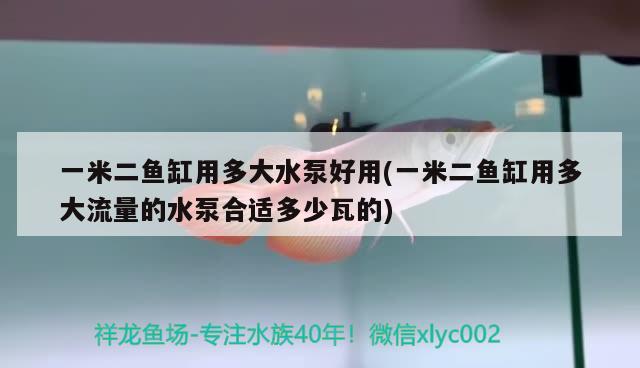 一米二鱼缸用多大水泵好用(一米二鱼缸用多大流量的水泵合适多少瓦的) 麦肯斯银版鱼