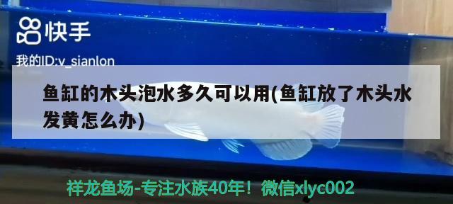 鱼缸的木头泡水多久可以用(鱼缸放了木头水发黄怎么办) 肥料