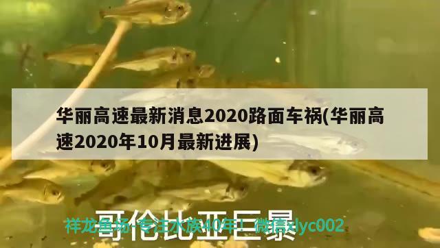 华丽高速最新消息2020路面车祸(华丽高速2020年10月最新进展)