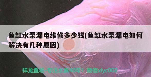 鱼缸水泵漏电维修多少钱(鱼缸水泵漏电如何解决有几种原因)