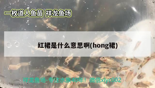 红裙是什么意思啊(hong裙)