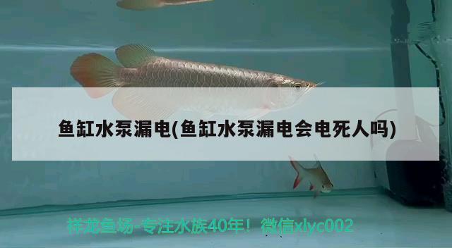 鱼缸水泵漏电(鱼缸水泵漏电会电死人吗) 鱼缸水泵