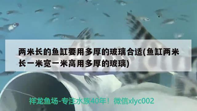 两米长的鱼缸要用多厚的玻璃合适(鱼缸两米长一米宽一米高用多厚的玻璃)