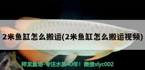 2米鱼缸怎么搬运(2米鱼缸怎么搬运视频)