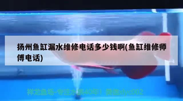 扬州鱼缸漏水维修电话多少钱啊(鱼缸维修师傅电话)