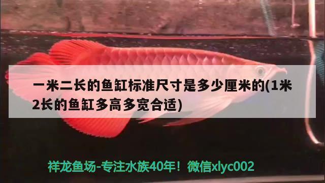 一米二长的鱼缸标准尺寸是多少厘米的(1米2长的鱼缸多高多宽合适)