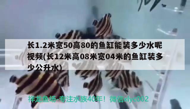 长1.2米宽50高80的鱼缸能装多少水呢视频(长12米高08米宽04米的鱼缸装多少公升水)