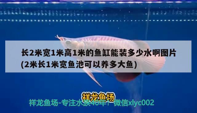 长2米宽1米高1米的鱼缸能装多少水啊图片(2米长1米宽鱼池可以养多大鱼) 鱼缸风水 第1张