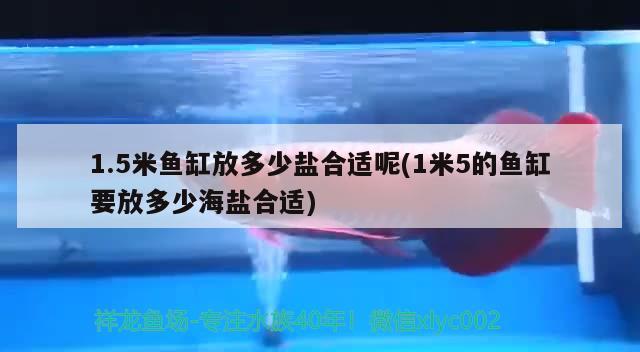 1.5米鱼缸放多少盐合适呢(1米5的鱼缸要放多少海盐合适)