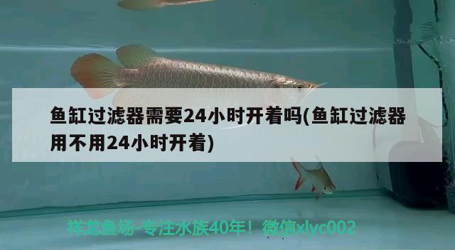 鱼缸过滤器需要24小时开着吗(鱼缸过滤器用不用24小时开着)