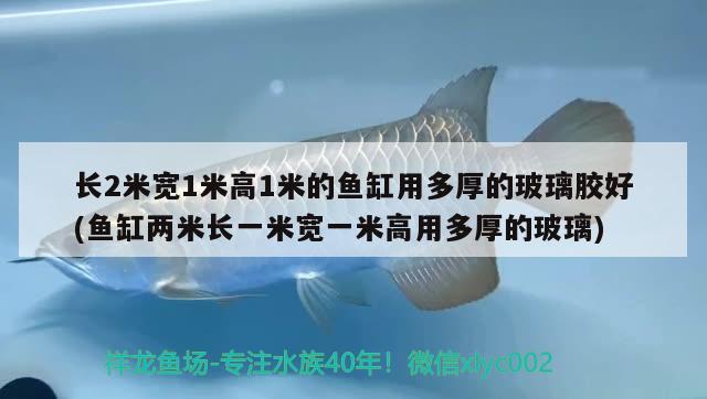 长2米宽1米高1米的鱼缸用多厚的玻璃胶好(鱼缸两米长一米宽一米高用多厚的玻璃)