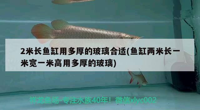 2米长鱼缸用多厚的玻璃合适(鱼缸两米长一米宽一米高用多厚的玻璃) 印尼红龙鱼