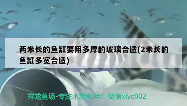 两米长的鱼缸要用多厚的玻璃合适(2米长的鱼缸多宽合适) 喂食器