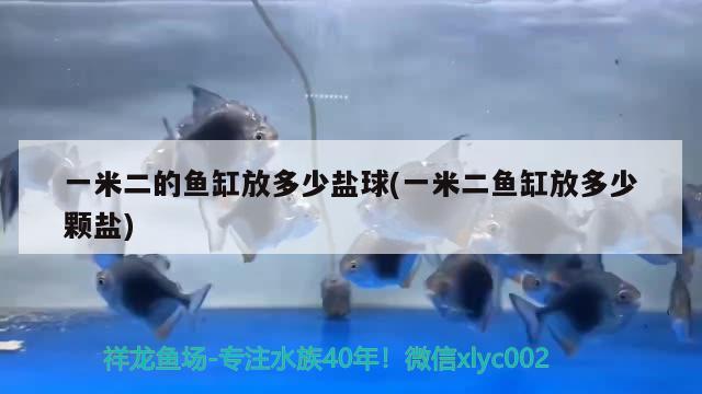 一米二的鱼缸放多少盐球(一米二鱼缸放多少颗盐)