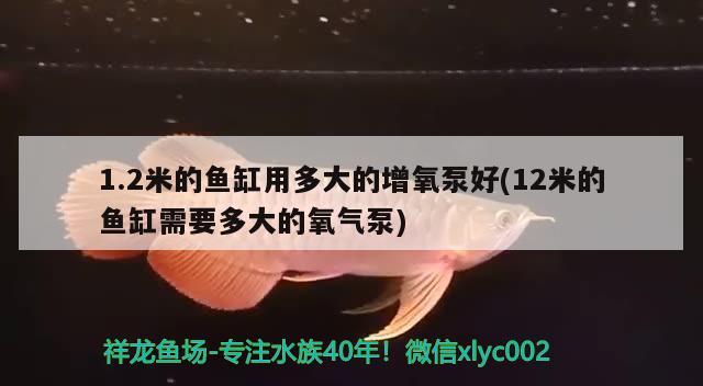 1.2米的鱼缸用多大的增氧泵好(12米的鱼缸需要多大的氧气泵) 观赏鱼市场