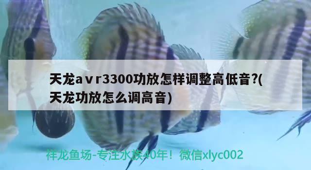 天龙aⅴr3300功放怎样调整高低音?(天龙功放怎么调高音)