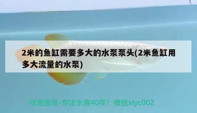 2米的鱼缸需要多大的水泵泵头(2米鱼缸用多大流量的水泵) 铁甲武士